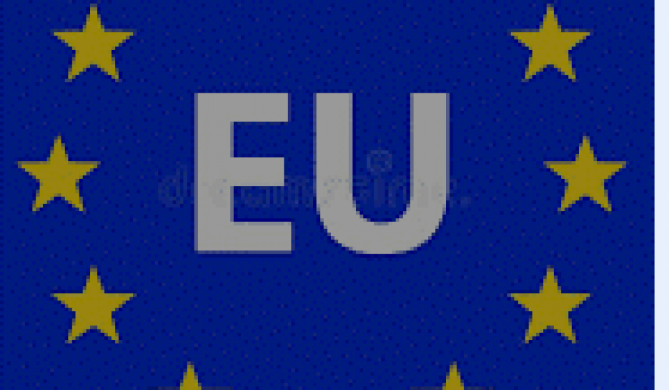 The European Union (EU)
